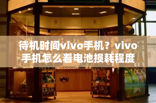 待机时间vivo手机？vivo手机怎么看电池损耗程度