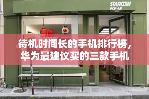 待机时间长的手机排行榜，华为最建议买的三款手机