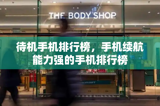 待机手机排行榜，手机续航能力强的手机排行榜-第1张图片-星选测评