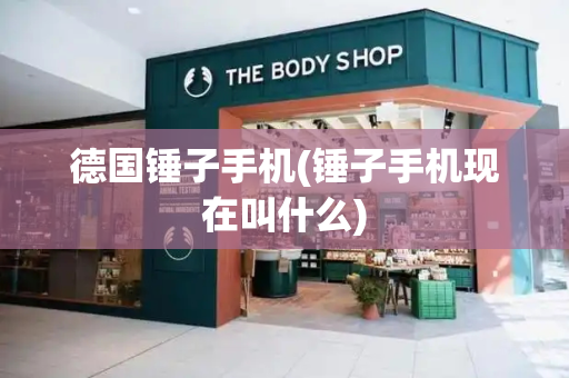 德国锤子手机(锤子手机现在叫什么)-第1张图片-星选测评