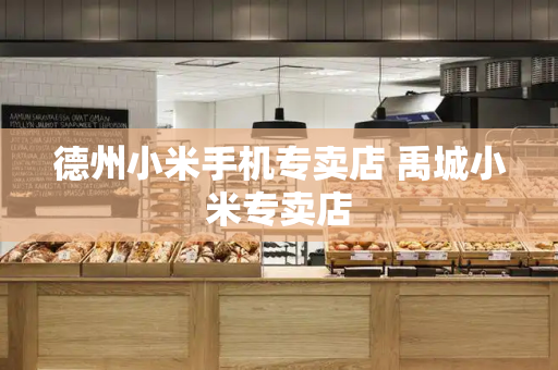 德州小米手机专卖店 禹城小米专卖店