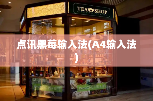 点讯黑莓输入法(A4输入法)-第1张图片-星选测评