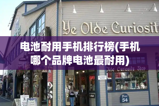 电池耐用手机排行榜(手机哪个品牌电池最耐用)