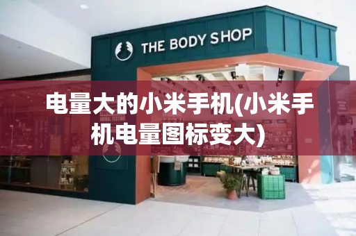 电量大的小米手机(小米手机电量图标变大)