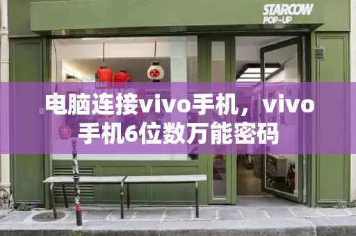 电脑连接vivo手机，vivo手机6位数万能密码