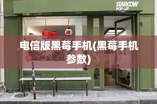 电信版黑莓手机(黑莓手机参数)