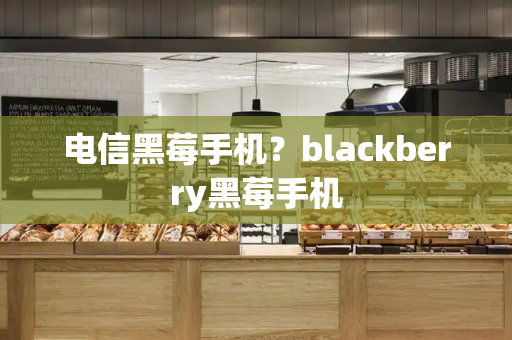 电信黑莓手机？blackberry黑莓手机