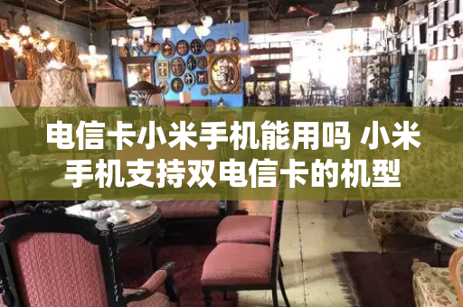 电信卡小米手机能用吗 小米手机支持双电信卡的机型