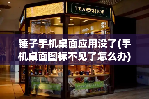 锤子手机桌面应用没了(手机桌面图标不见了怎么办)-第1张图片-星选测评