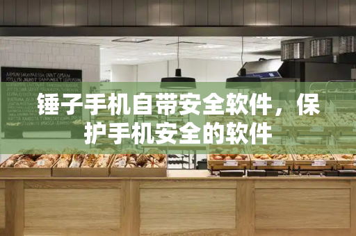 锤子手机自带安全软件，保护手机安全的软件-第1张图片-星选测评