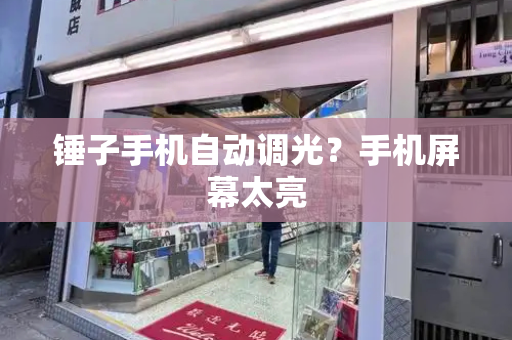 锤子手机自动调光？手机屏幕太亮-第1张图片-星选测评