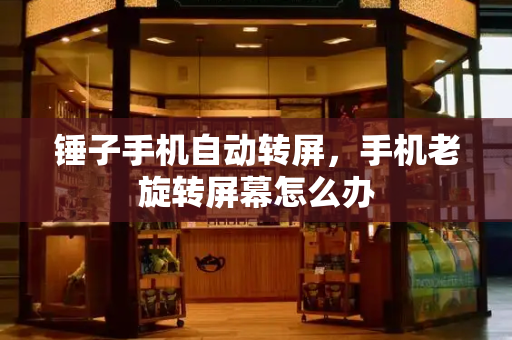 锤子手机自动转屏，手机老旋转屏幕怎么办-第1张图片-星选测评
