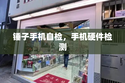 锤子手机自检，手机硬件检测