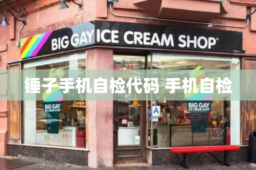 锤子手机自检代码 手机自检