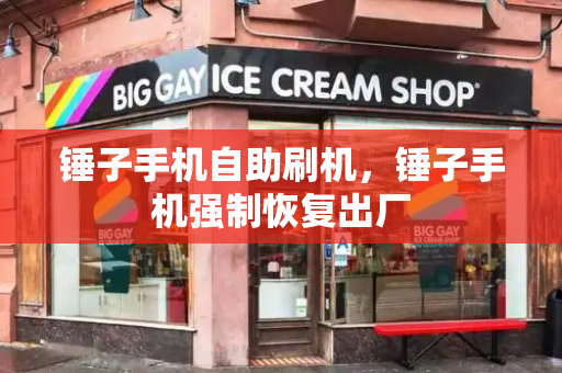 锤子手机自助刷机，锤子手机强制恢复出厂-第1张图片-星选测评