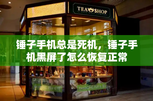 锤子手机总是死机，锤子手机黑屏了怎么恢复正常