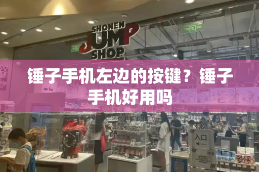 锤子手机左边的按键？锤子手机好用吗-第1张图片-星选测评