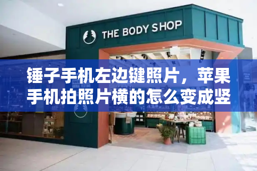 锤子手机左边键照片，苹果手机拍照片横的怎么变成竖的-第1张图片-星选测评