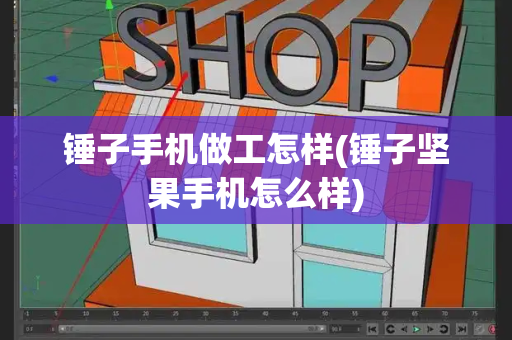 锤子手机做工怎样(锤子坚果手机怎么样)