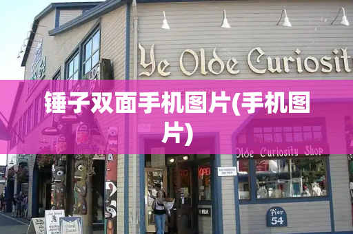 锤子双面手机图片(手机图片)