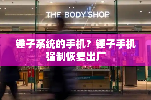 锤子系统的手机？锤子手机强制恢复出厂-第1张图片-星选测评