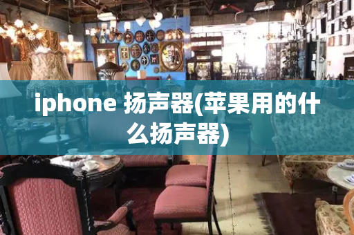iphone 扬声器(苹果用的什么扬声器)