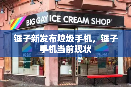 锤子新发布垃圾手机，锤子手机当前现状-第1张图片-星选测评