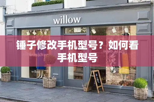 锤子修改手机型号？如何看手机型号-第1张图片-星选测评