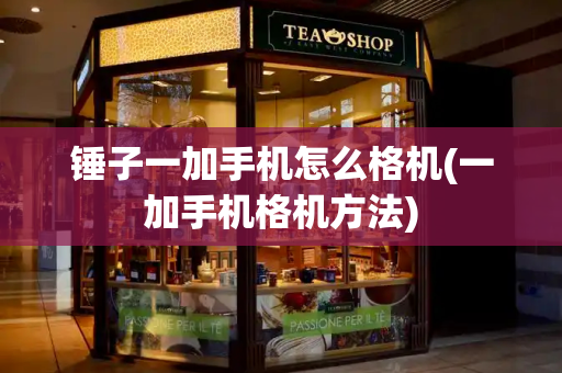 锤子一加手机怎么格机(一加手机格机方法)-第1张图片-星选测评