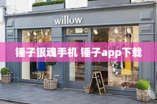 锤子银魂手机 锤子app下载-第1张图片-星选测评