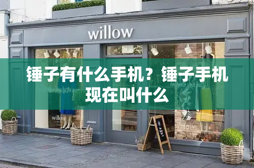 锤子有什么手机？锤子手机现在叫什么