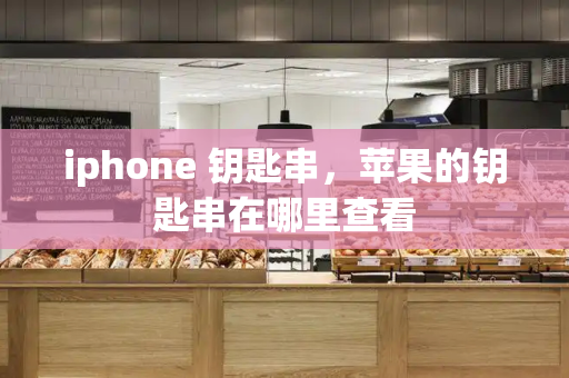 iphone 钥匙串，苹果的钥匙串在哪里查看-第1张图片-星选测评