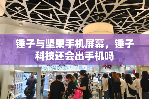 锤子与坚果手机屏幕，锤子科技还会出手机吗