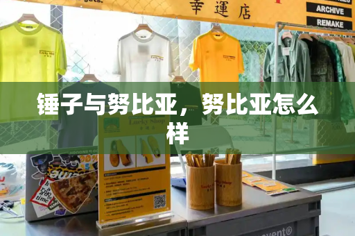 锤子与努比亚，努比亚怎么样-第1张图片-星选测评