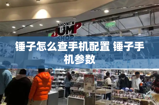 锤子怎么查手机配置 锤子手机参数-第1张图片-星选测评