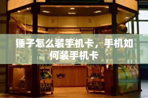 锤子怎么装手机卡，手机如何装手机卡-第1张图片-星选测评