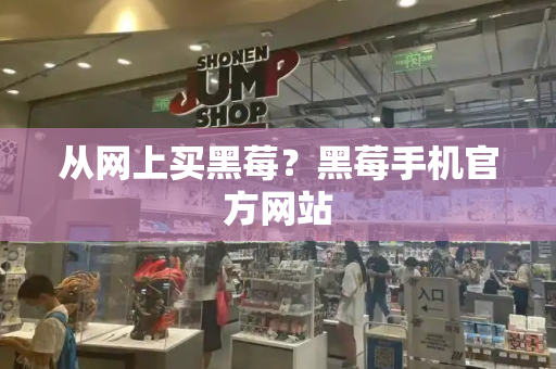 从网上买黑莓？黑莓手机官方网站