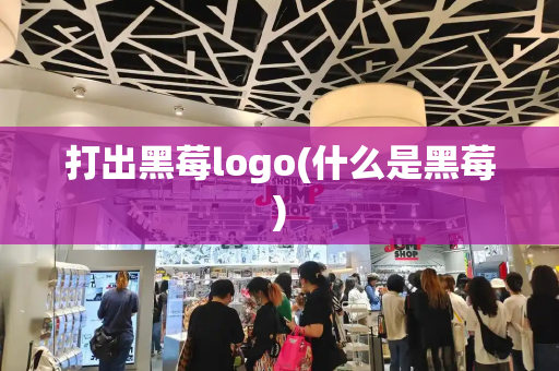 打出黑莓logo(什么是黑莓)