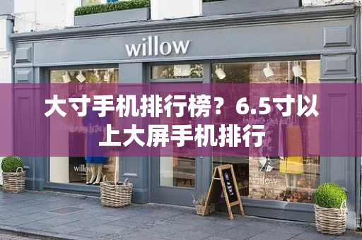 大寸手机排行榜？6.5寸以上大屏手机排行