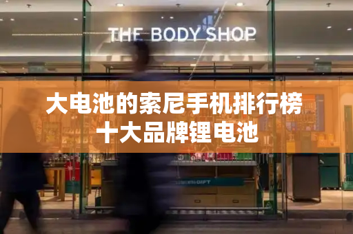大电池的索尼手机排行榜 十大品牌锂电池-第1张图片-星选测评