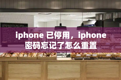 iphone 已停用，iphone密码忘记了怎么重置-第1张图片-星选测评