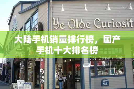 大陆手机销量排行榜，国产手机十大排名榜