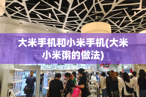 大米手机和小米手机(大米小米粥的做法)