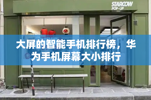 大屏的智能手机排行榜，华为手机屏幕大小排行-第1张图片-星选测评