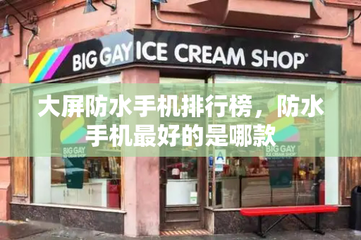 大屏防水手机排行榜，防水手机最好的是哪款