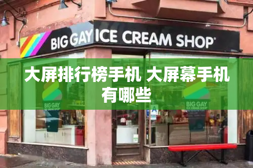 大屏排行榜手机 大屏幕手机有哪些