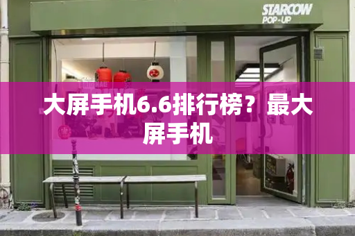 大屏手机6.6排行榜？最大屏手机-第1张图片-星选测评