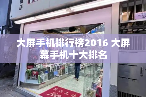 大屏手机排行榜2016 大屏幕手机十大排名