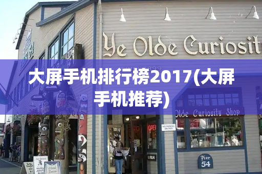 大屏手机排行榜2017(大屏手机推荐)