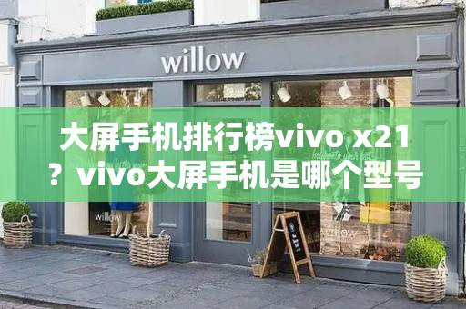 大屏手机排行榜vivo x21？vivo大屏手机是哪个型号-第1张图片-星选测评